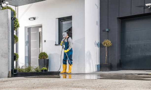 Best Solar Panel Cleaning  in Hamlin, TX